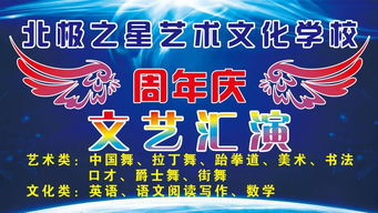 西充北極之星藝術(shù)文化學(xué)校文藝匯演 打造文化藝術(shù)交流盛宴