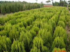 價格 廠家 Hc360慧聰網